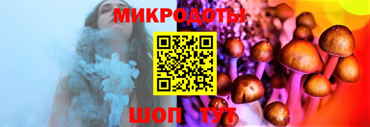 Галлюциногенные грибы мухоморы Киселёвск