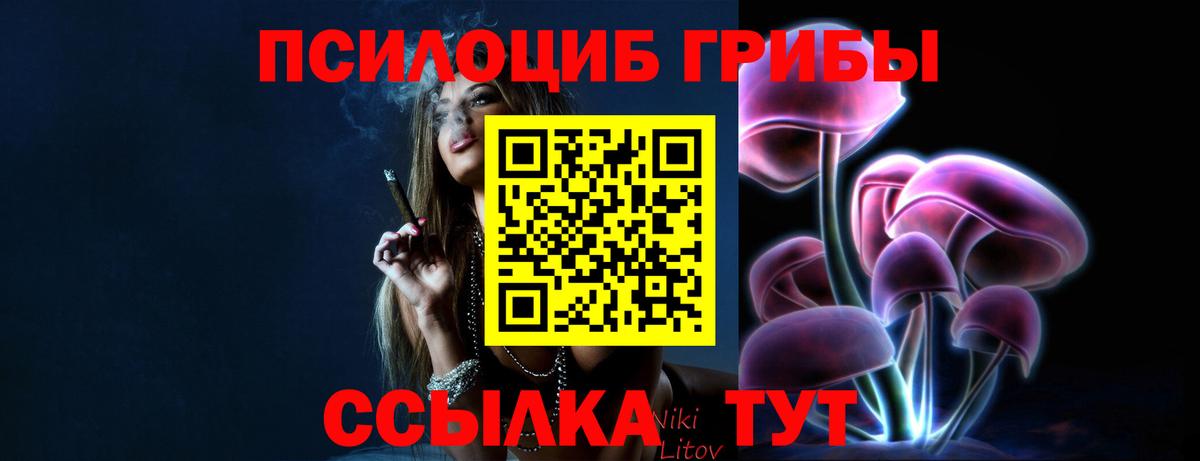 где купить наркоту  Вход с VPN  Киселёвск  Галлюциногенные грибы ЛСД 